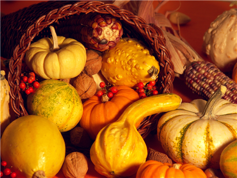 A display of pumpkins in a basket.